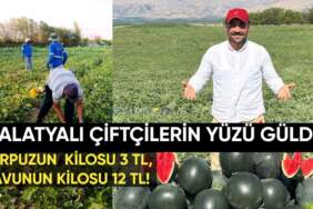 Malatya’da çiftçinin yüzü güldü: Kayısıda kaybetmişlerdi; kavun ve karpuzda kazanıyorlar: Kavunun kilosu 12 TL, karpuzun 3 TL!