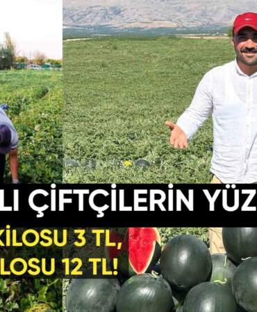 Malatya’da çiftçinin yüzü güldü: Kayısıda kaybetmişlerdi; kavun ve karpuzda kazanıyorlar: Kavunun kilosu 12 TL, karpuzun 3 TL!