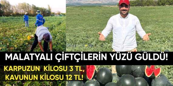 Malatya’da çiftçinin yüzü güldü: Kayısıda kaybetmişlerdi; kavun ve karpuzda kazanıyorlar: Kavunun kilosu 12 TL, karpuzun 3 TL!