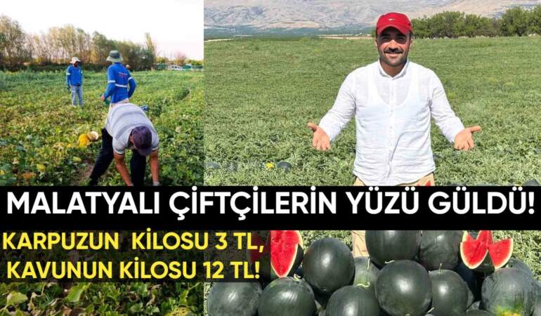 Malatya’da çiftçinin yüzü güldü: Kayısıda kaybetmişlerdi; kavun ve karpuzda kazanıyorlar: Kavunun kilosu 12 TL, karpuzun 3 TL!