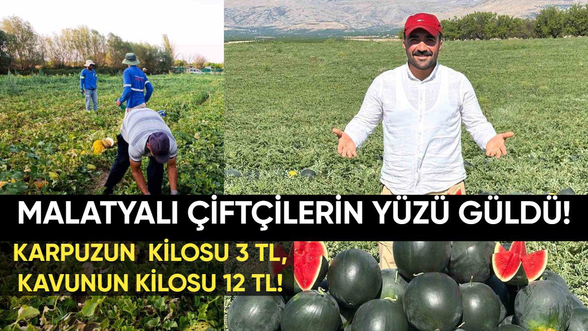 Malatya’da çiftçinin yüzü güldü: Kayısıda kaybetmişlerdi; kavun ve karpuzda kazanıyorlar: Kavunun kilosu 12 TL, karpuzun 3 TL!