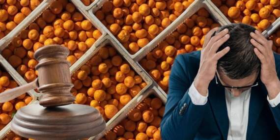 Narenciye devi çöktü: 126 yıllık şirket iflas bayrağını çekti!