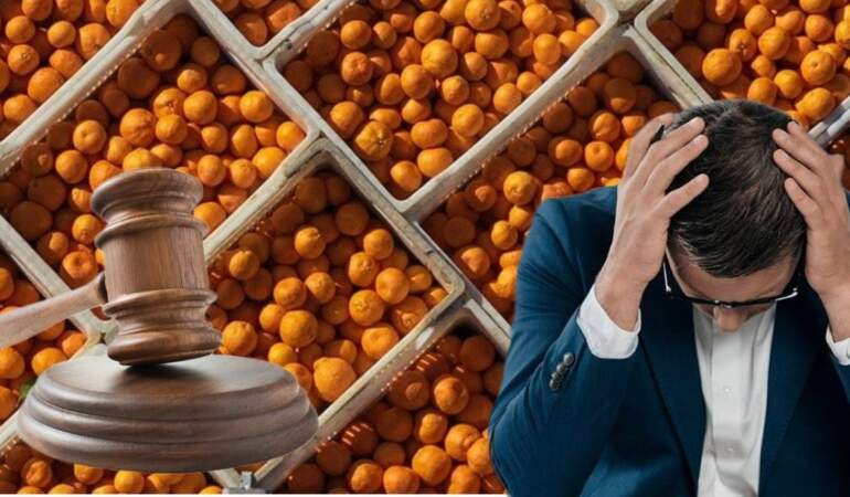 Narenciye devi çöktü: 126 yıllık şirket iflas bayrağını çekti!