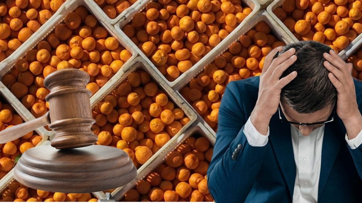 Narenciye devi çöktü: 126 yıllık şirket iflas bayrağını çekti!