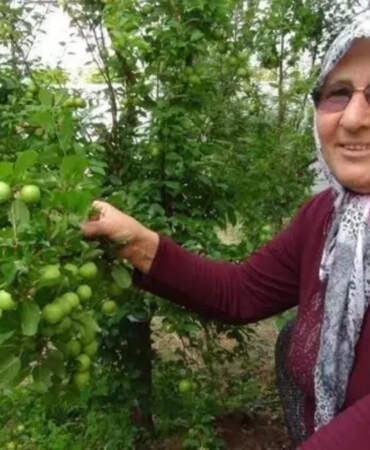 Kilosu 8 bin liradan 400 liraya düştü! Fiyat yüksek, talep fazla: Sadece Türkiye pazarı değil yurt dışı pazarı ilgi gösteriyor