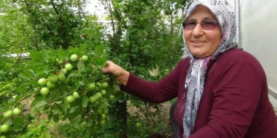 Kilosu 8 bin liradan 400 liraya düştü! Fiyat yüksek, talep fazla: Sadece Türkiye pazarı değil yurt dışı pazarı ilgi gösteriyor