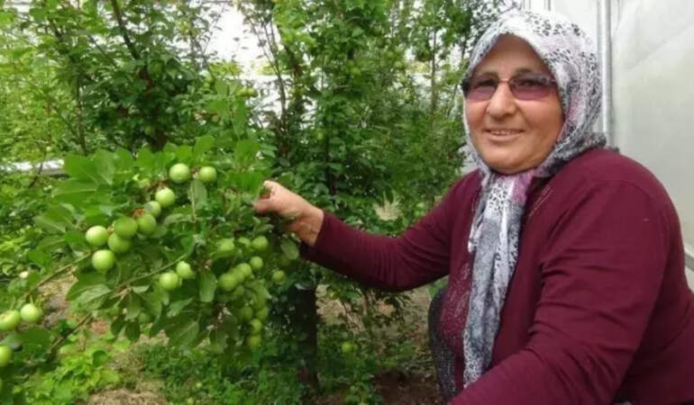 Kilosu 8 bin liradan 400 liraya düştü! Fiyat yüksek, talep fazla: Sadece Türkiye pazarı değil yurt dışı pazarı ilgi gösteriyor