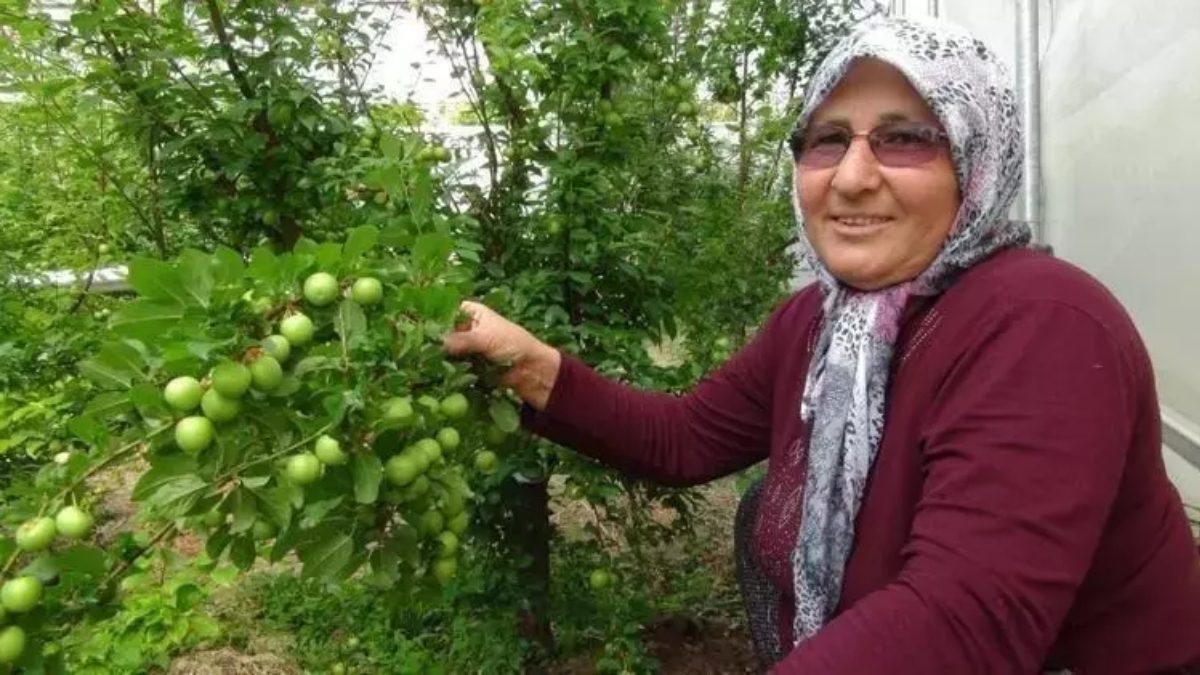 Kilosu 8 bin liradan 400 liraya düştü! Fiyat yüksek, talep fazla: Sadece Türkiye pazarı değil yurt dışı pazarı ilgi gösteriyor