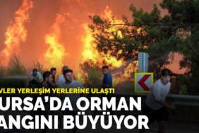 Bursa’da orman yangını büyüyor:  Alevler yerleşim yerlerine ulaştı