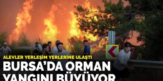 Bursa’da orman yangını büyüyor:  Alevler yerleşim yerlerine ulaştı