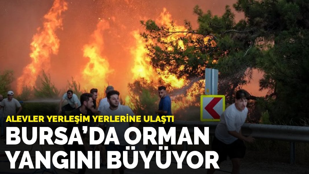 Bursa’da orman yangını büyüyor:  Alevler yerleşim yerlerine ulaştı