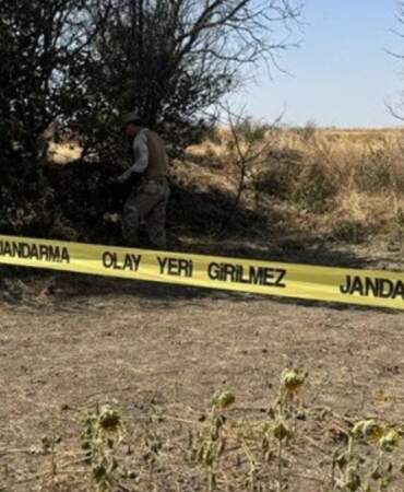 Edirne’deki cinayetin zanlısı Osmaniye’de yakalandı: Ayçiçeği tarlasında kadın cesedi