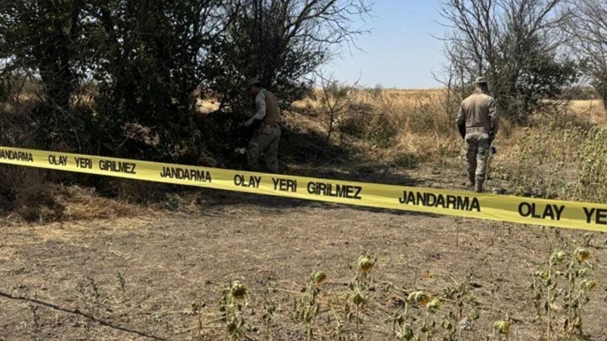 Edirne’deki cinayetin zanlısı Osmaniye’de yakalandı: Ayçiçeği tarlasında kadın cesedi