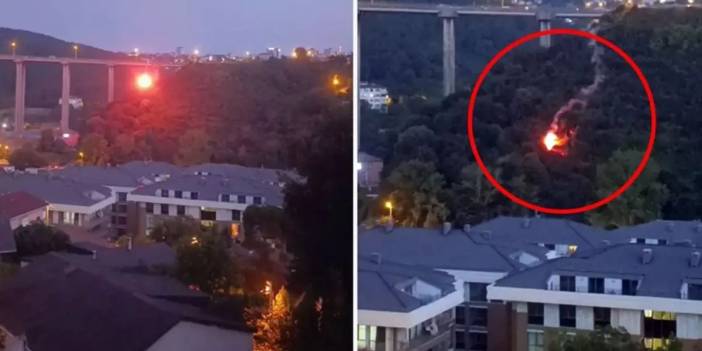 Beykoz'da orman yangınına neden olan şüpheli tutuklandı