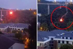 Beykoz’da orman yangınına neden olan şüpheli tutuklandı