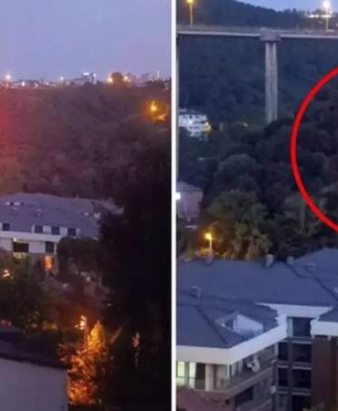 Beykoz’da orman yangınına neden olan şüpheli tutuklandı