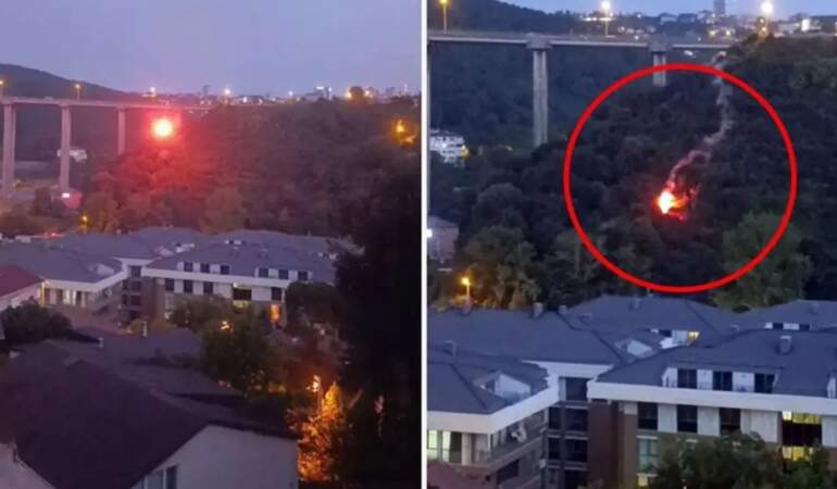 Beykoz’da orman yangınına neden olan şüpheli tutuklandı