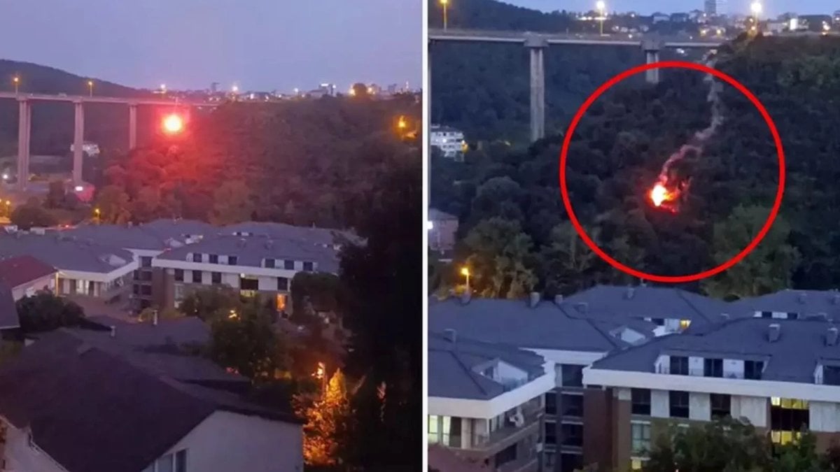 Beykoz’da orman yangınına neden olan şüpheli tutuklandı