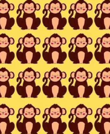 Her şey aynı gibi ama biri farklı! Farklı maymunu 7 saniyede bulabilen neredeyse yok