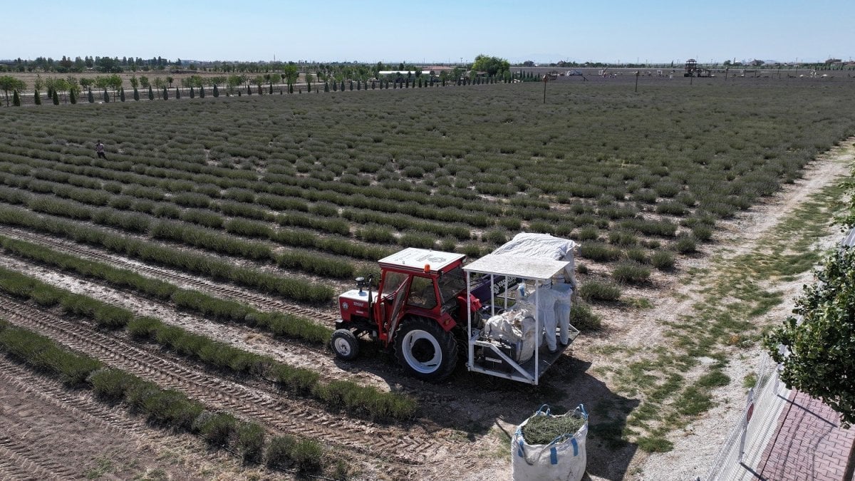 Hem sergileniyor hem üretim yapılıyor! Görmek için yüz binlerce ziyaretçi gidiyor: Sabun, gazoz, krem… Hepsi bu bahçeden