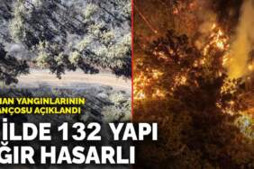 Orman yangınlarının bilançosu açıklandı: 7 ilde 132 yapı ağır hasarlı