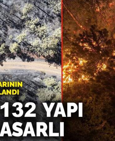Orman yangınlarının bilançosu açıklandı: 7 ilde 132 yapı ağır hasarlı