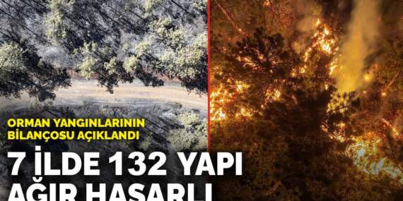 Orman yangınlarının bilançosu açıklandı: 7 ilde 132 yapı ağır hasarlı