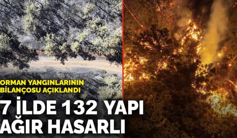 Orman yangınlarının bilançosu açıklandı: 7 ilde 132 yapı ağır hasarlı