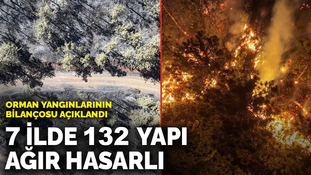Orman yangınlarının bilançosu açıklandı: 7 ilde 132 yapı ağır hasarlı