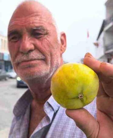 Eskiden kiloyla alınırdı, şimdi taneyle! Kilosu 250 lirayı bulunca vatandaş isyan etti