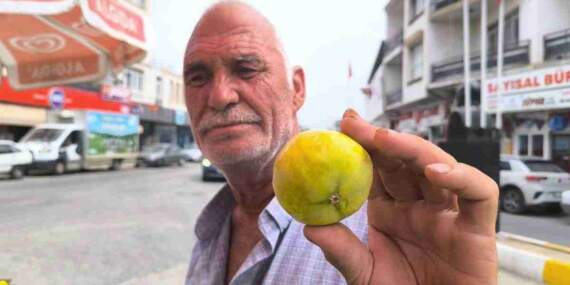 Eskiden kiloyla alınırdı, şimdi taneyle! Kilosu 250 lirayı bulunca vatandaş isyan etti