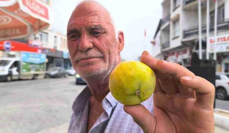 Eskiden kiloyla alınırdı, şimdi taneyle! Kilosu 250 lirayı bulunca vatandaş isyan etti