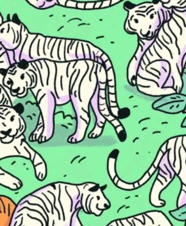 Yalnızca 5 saniyeniz var! Gizli zebra nerede duruyor! Yalnızca 130 IQ’ya sahip kişiler şıp diye buluyor