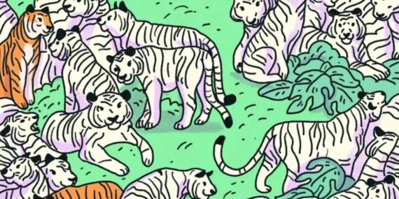 Yalnızca 5 saniyeniz var! Gizli zebra nerede duruyor! Yalnızca 130 IQ’ya sahip kişiler şıp diye buluyor