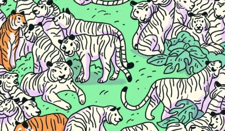 Yalnızca 5 saniyeniz var! Gizli zebra nerede duruyor! Yalnızca 130 IQ’ya sahip kişiler şıp diye buluyor