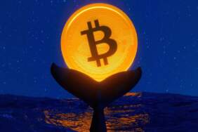 Bitcoin Balinalarından Beklenmedik Transfer