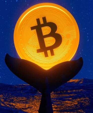 Bitcoin Balinalarından Beklenmedik Transfer