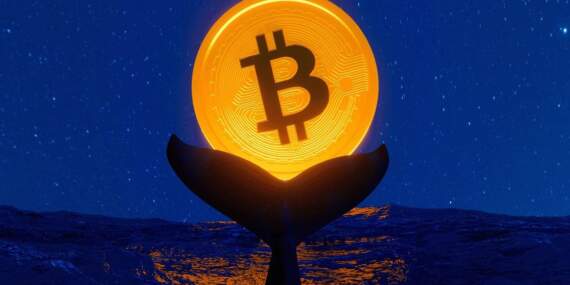 Bitcoin Balinalarından Beklenmedik Transfer