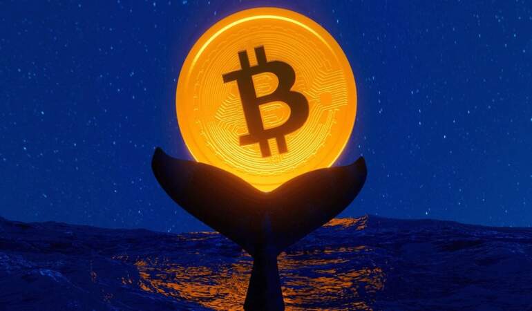 Bitcoin Balinalarından Beklenmedik Transfer