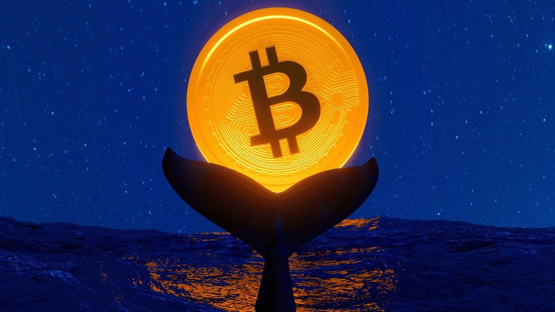Bitcoin Balinalarından Beklenmedik Transfer