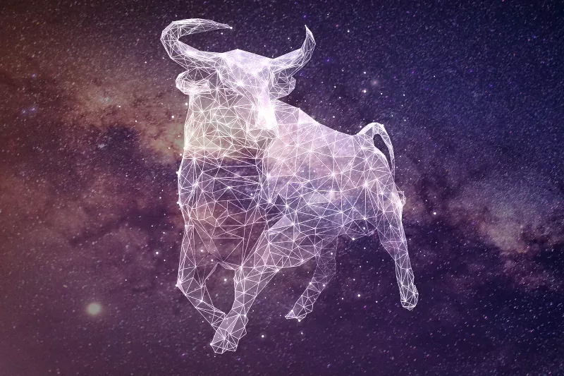 278928-800x533-zodiac-sign-matches-taurus 278928-800x533-zodiac-sign-matches-taurus.webp