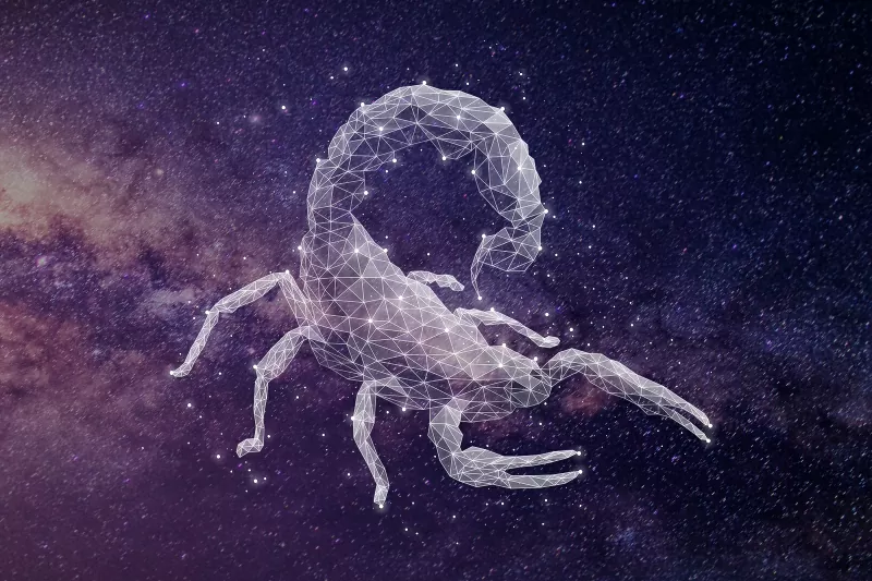 278934-800x533-zodiac-sign-matches-scorpio-1 278934-800x533-zodiac-sign-matches-scorpio.webp