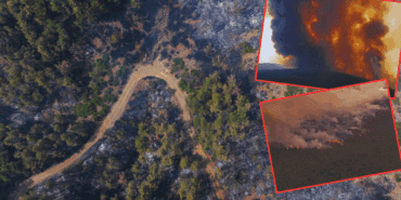 Ülkenin Dört Bir Yanı Alev Alev! Bakan Yumaklı Açıkladı! Yangınlarda Son Durum Ne?