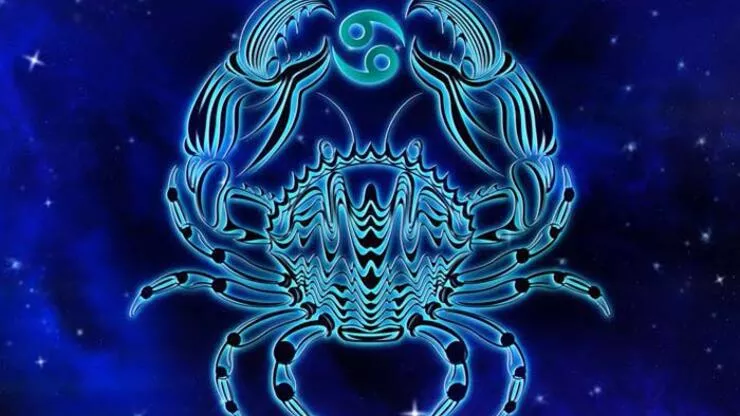 61c01eddb57f151338c2366e-1 61c01eddb57f151338c2366e.webp