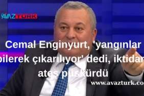Türkiye Yangınlarının Ardındaki Akıl Almaz İddia: Ormanlarımız Kasıtlı Yakılıyor Mu?