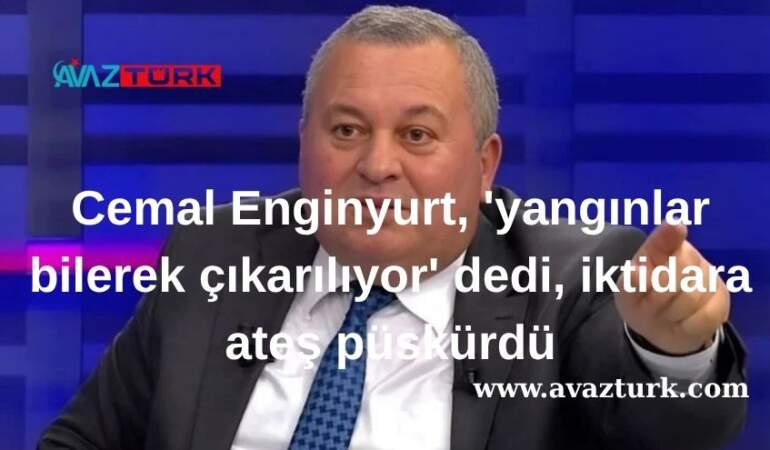 Türkiye Yangınlarının Ardındaki Akıl Almaz İddia: Ormanlarımız Kasıtlı Yakılıyor Mu?