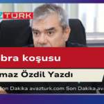 Zebraların Masum Koşuşlarının Ardındaki Tüyler Ürperten Son Ortaya Çıktı