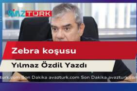 Zebraların Masum Koşuşlarının Ardındaki Tüyler Ürperten Son Ortaya Çıktı