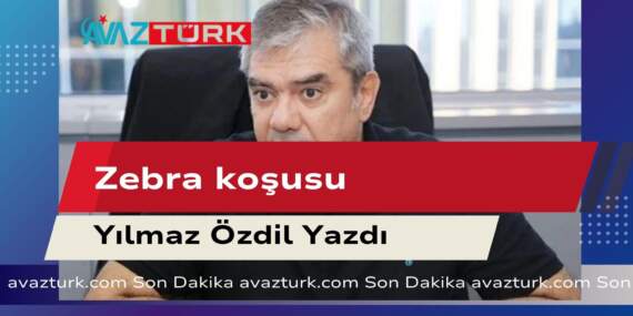 Zebraların Masum Koşuşlarının Ardındaki Tüyler Ürperten Son Ortaya Çıktı