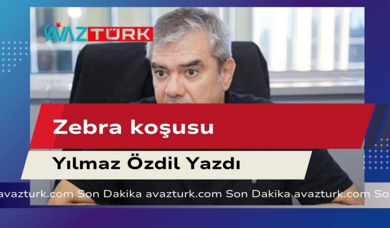 Zebraların Masum Koşuşlarının Ardındaki Tüyler Ürperten Son Ortaya Çıktı